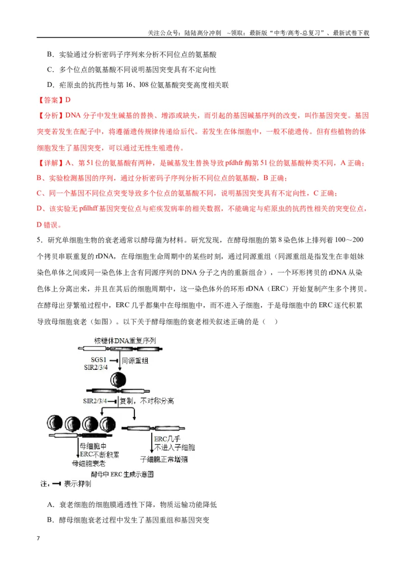 《专题23生物的变异（解析版)_06-生物-高考总复习_一轮复习_2024年_2024年高考生物一轮复习重难点专项突破_资料》第7页预览