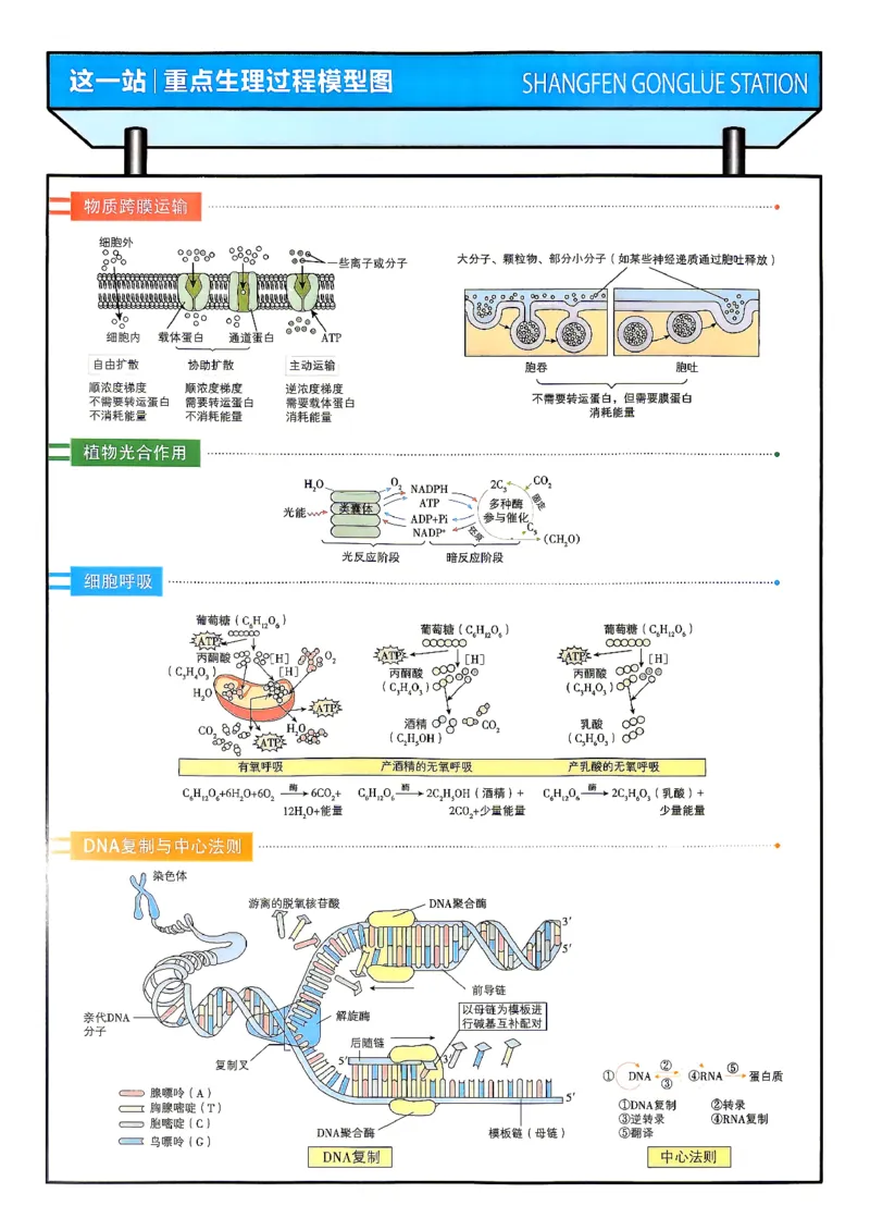 《生物封面答案快对_小初高学习资料合集（每天更新）_2027版《高考上分攻略》数学+物理+生物+化学_2027版高中《必刷题》上分攻略（生物）》第2页预览