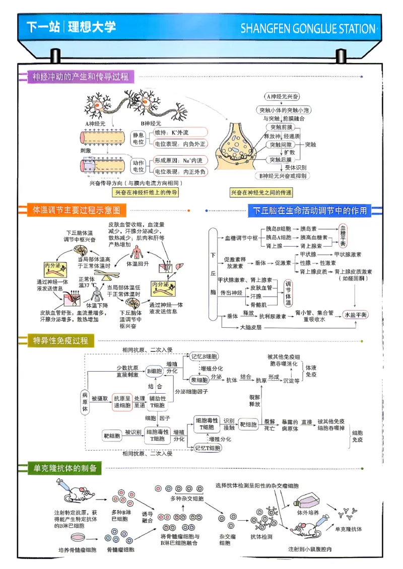 《生物封面答案快对_小初高学习资料合集（每天更新）_2027版《高考上分攻略》数学+物理+生物+化学_2027版高中《必刷题》上分攻略（生物）》第3页预览