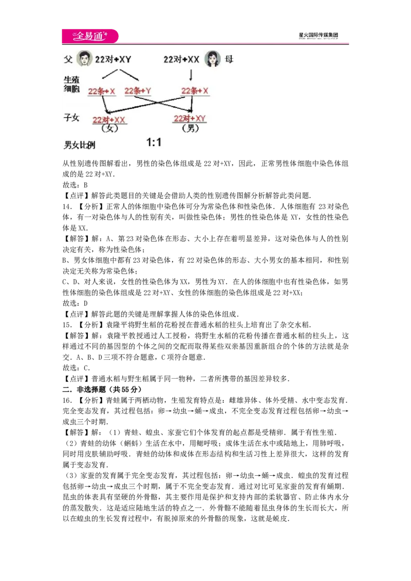 《生物八下人教版期中2卷-答案_初中全科目同步习题+精品试卷（7-9年级）(1)_25秋初中生物《同步习题+精品试卷》_初中生物试卷（人教版）_《同步试题》_同步试题资源包（8B）》第4页预览