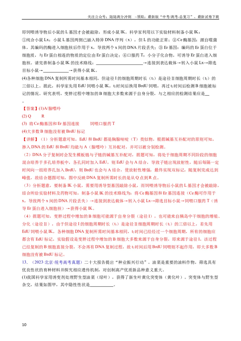 《专题21基因工程-五年（2019-2023）高考生物真题分项汇编（全国通用）（教师版）_06-生物-高考总复习_专项复习_2024年_2024年高考生物五年真题分项汇编（全国通用）_教师版（含答案解析）》第10页预览