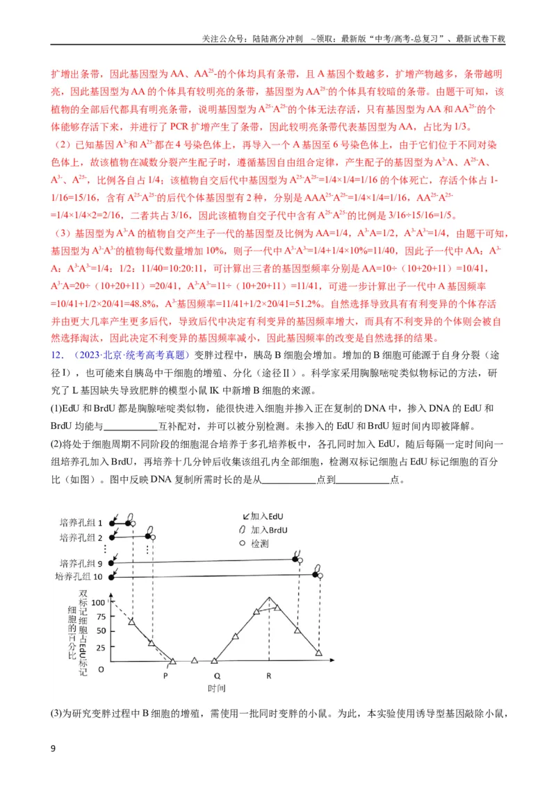 《专题21基因工程-五年（2019-2023）高考生物真题分项汇编（全国通用）（教师版）_06-生物-高考总复习_专项复习_2024年_2024年高考生物五年真题分项汇编（全国通用）_教师版（含答案解析）》第9页预览