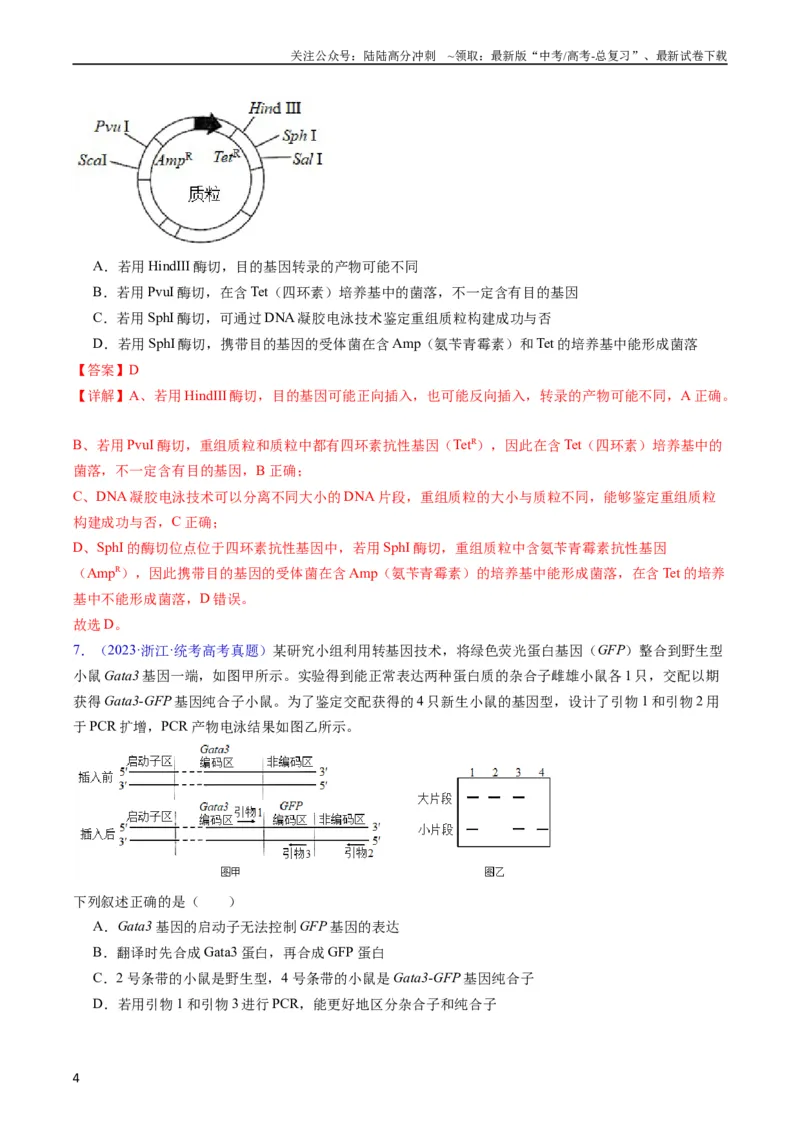 《专题21基因工程-五年（2019-2023）高考生物真题分项汇编（全国通用）（教师版）_06-生物-高考总复习_专项复习_2024年_2019-2023高考生物五年真题分项汇编（全国通用）_教师版（含答案解析）》第4页预览