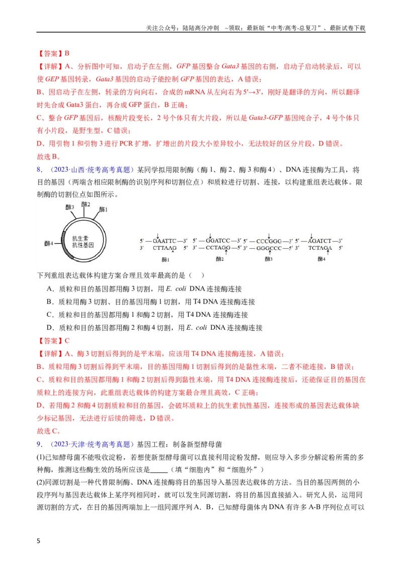 《专题21基因工程-五年（2019-2023）高考生物真题分项汇编（全国通用）（教师版）_06-生物-高考总复习_专项复习_2024年_2019-2023高考生物五年真题分项汇编（全国通用）_教师版（含答案解析）》第5页预览