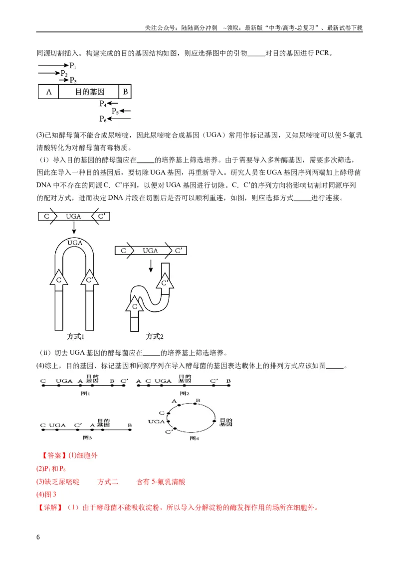 《专题21基因工程-五年（2019-2023）高考生物真题分项汇编（全国通用）（教师版）_06-生物-高考总复习_专项复习_2024年_2019-2023高考生物五年真题分项汇编（全国通用）_教师版（含答案解析）》第6页预览