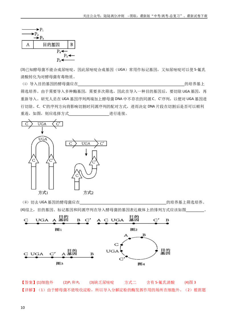 《专题25基因工程（教师版）_06-生物-高考总复习_专项复习_2024年_十年（2014-2023）高考生物真题分项汇编（全国通用）》第10页预览