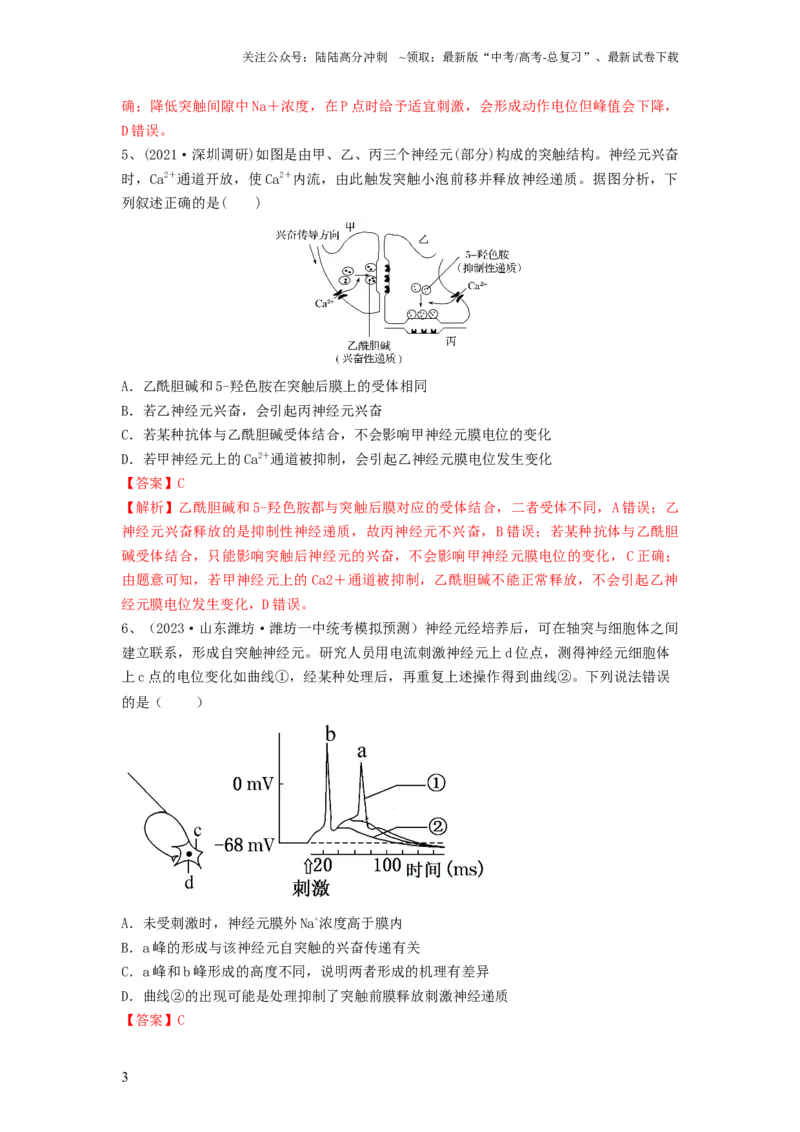 《专题24神经调节（精练）（解析版）_06-生物-高考总复习_一轮复习_2024年_2024年高考生物一轮复习串讲精练知识点梳理练习题_精练》第3页预览