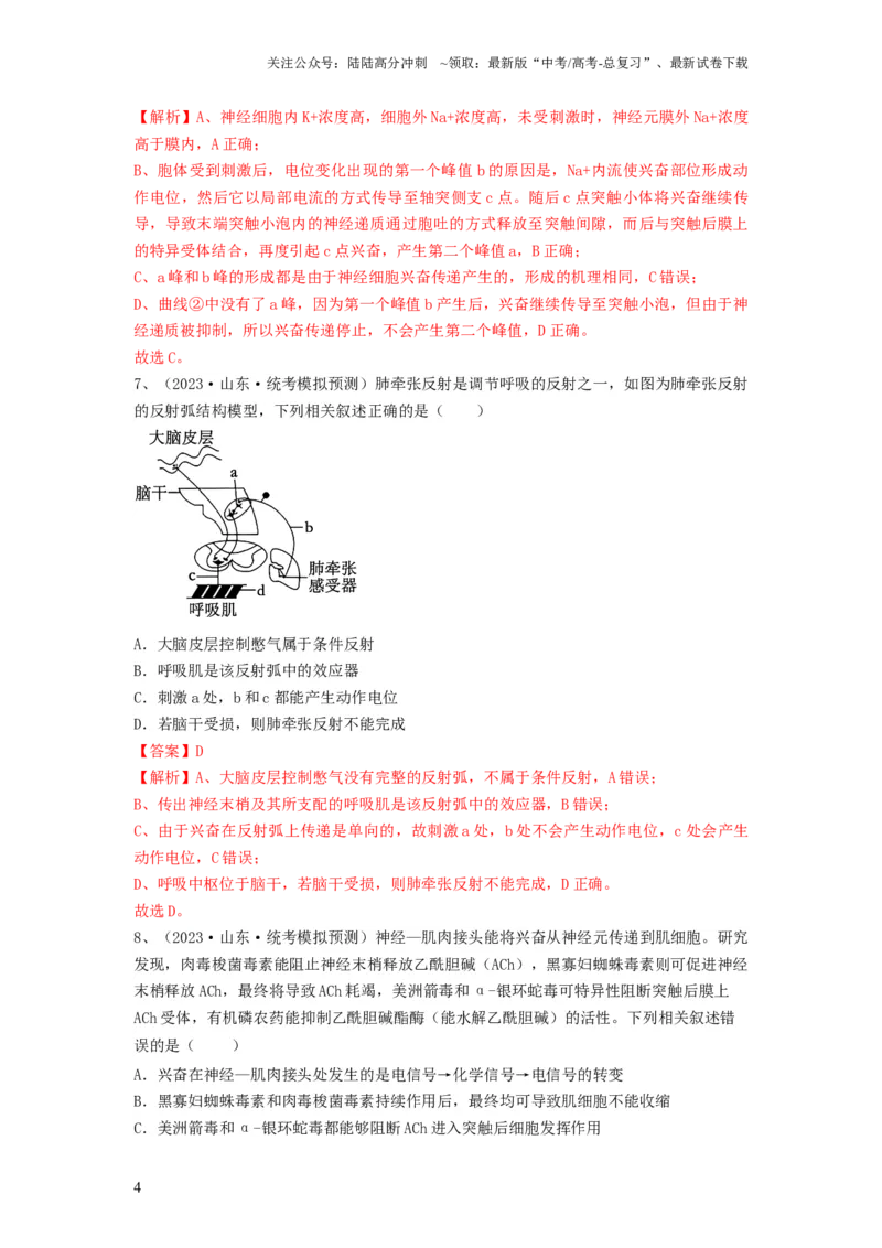 《专题24神经调节（精练）（解析版）_06-生物-高考总复习_一轮复习_2024年_2024年高考生物一轮复习串讲精练知识点梳理练习题_精练》第4页预览
