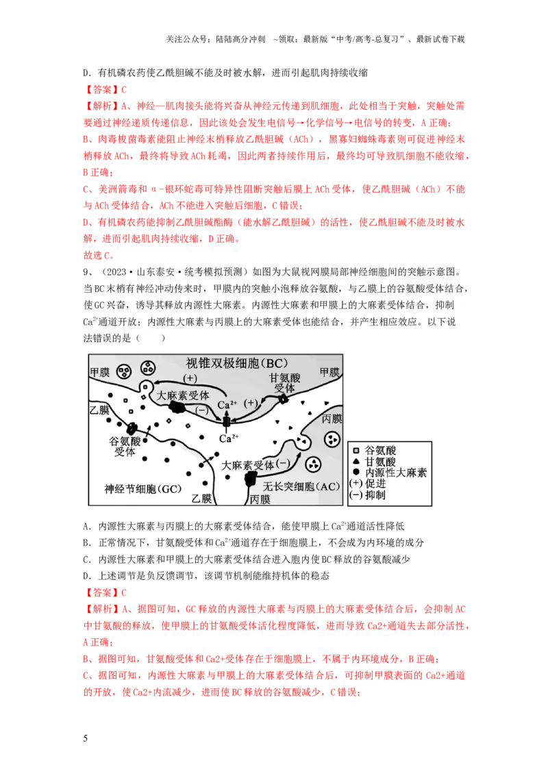 《专题24神经调节（精练）（解析版）_06-生物-高考总复习_一轮复习_2024年_2024年高考生物一轮复习串讲精练知识点梳理练习题_精练》第5页预览