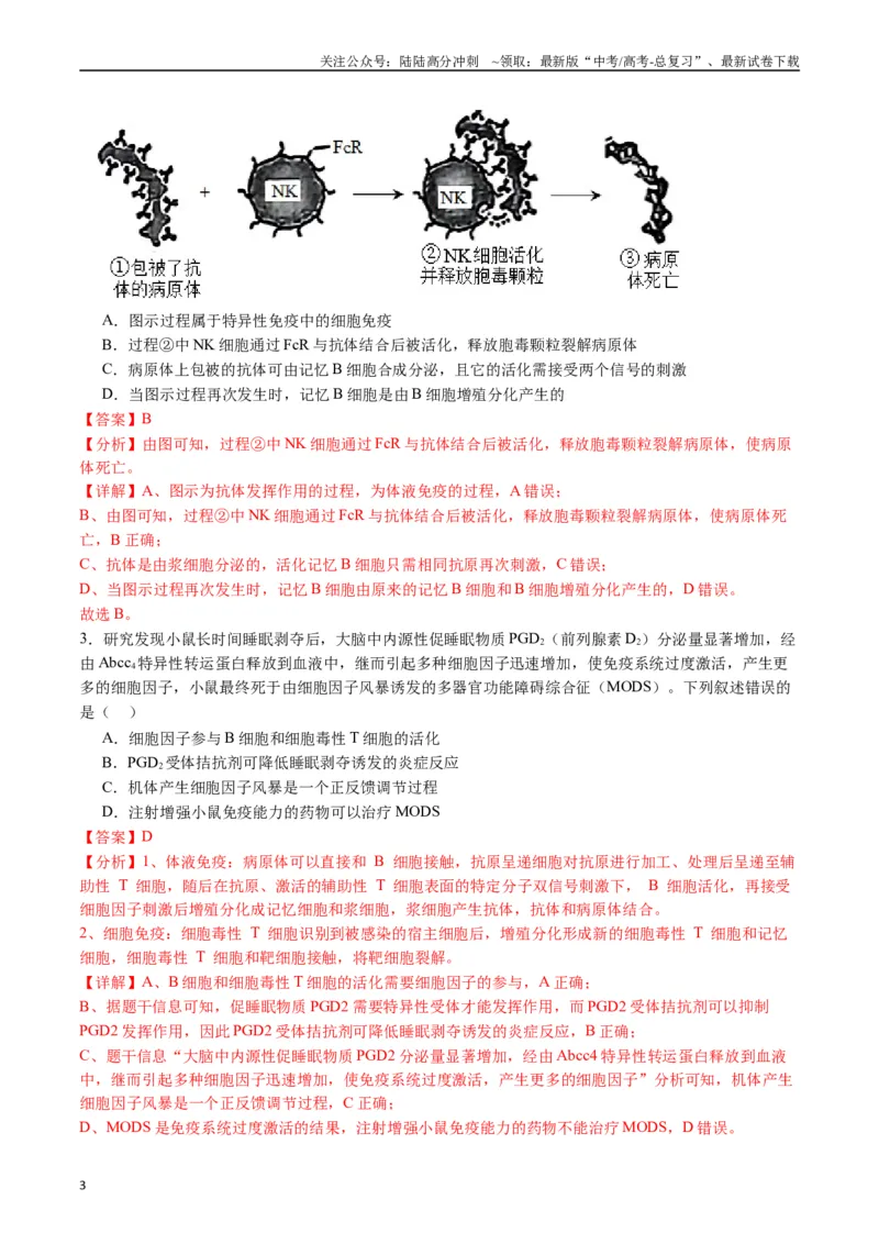 《专题19免疫调节（解析版）_06-生物-高考总复习_专项复习_2024年_2024年高考生物经典小题必刷_资料》第3页预览