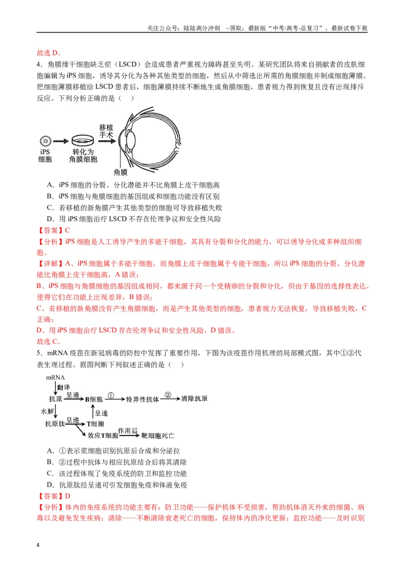 《专题19免疫调节（解析版）_06-生物-高考总复习_专项复习_2024年_2024年高考生物经典小题必刷_资料》第4页预览