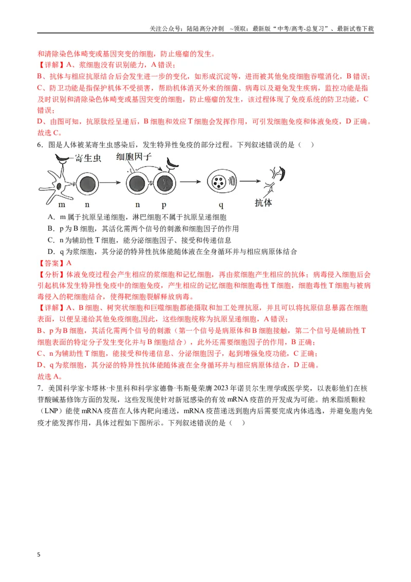 《专题19免疫调节（解析版）_06-生物-高考总复习_专项复习_2024年_2024年高考生物经典小题必刷_资料》第5页预览