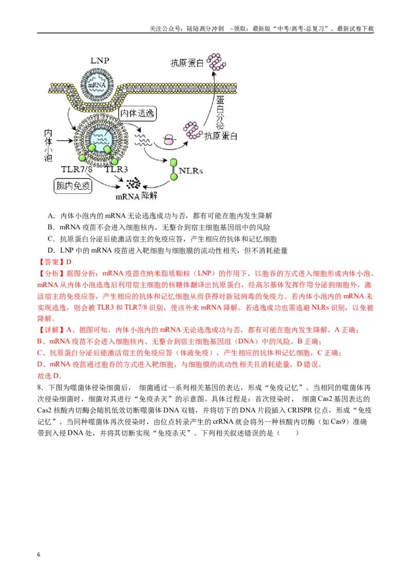 《专题19免疫调节（解析版）_06-生物-高考总复习_专项复习_2024年_2024年高考生物经典小题必刷_资料》第6页预览