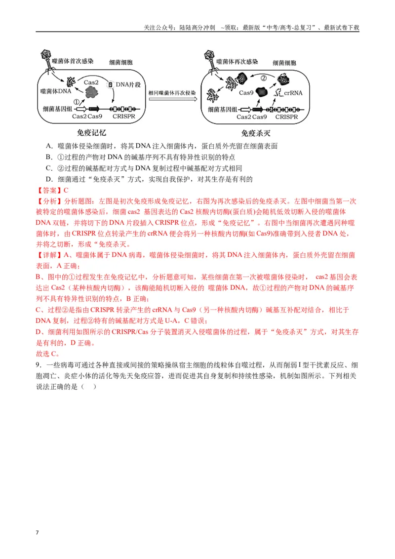 《专题19免疫调节（解析版）_06-生物-高考总复习_专项复习_2024年_2024年高考生物经典小题必刷_资料》第7页预览