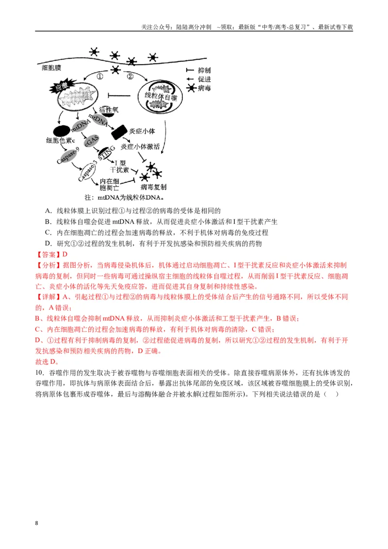 《专题19免疫调节（解析版）_06-生物-高考总复习_专项复习_2024年_2024年高考生物经典小题必刷_资料》第8页预览