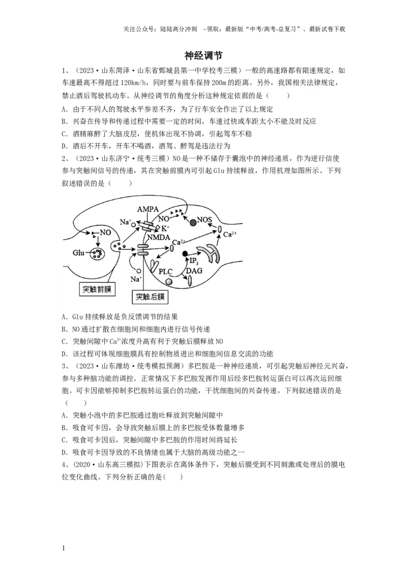 《专题24神经调节（精练）（原卷版）_06-生物-高考总复习_一轮复习_2024年_2024年高考生物一轮复习串讲精练知识点梳理练习题_精练》第1页预览