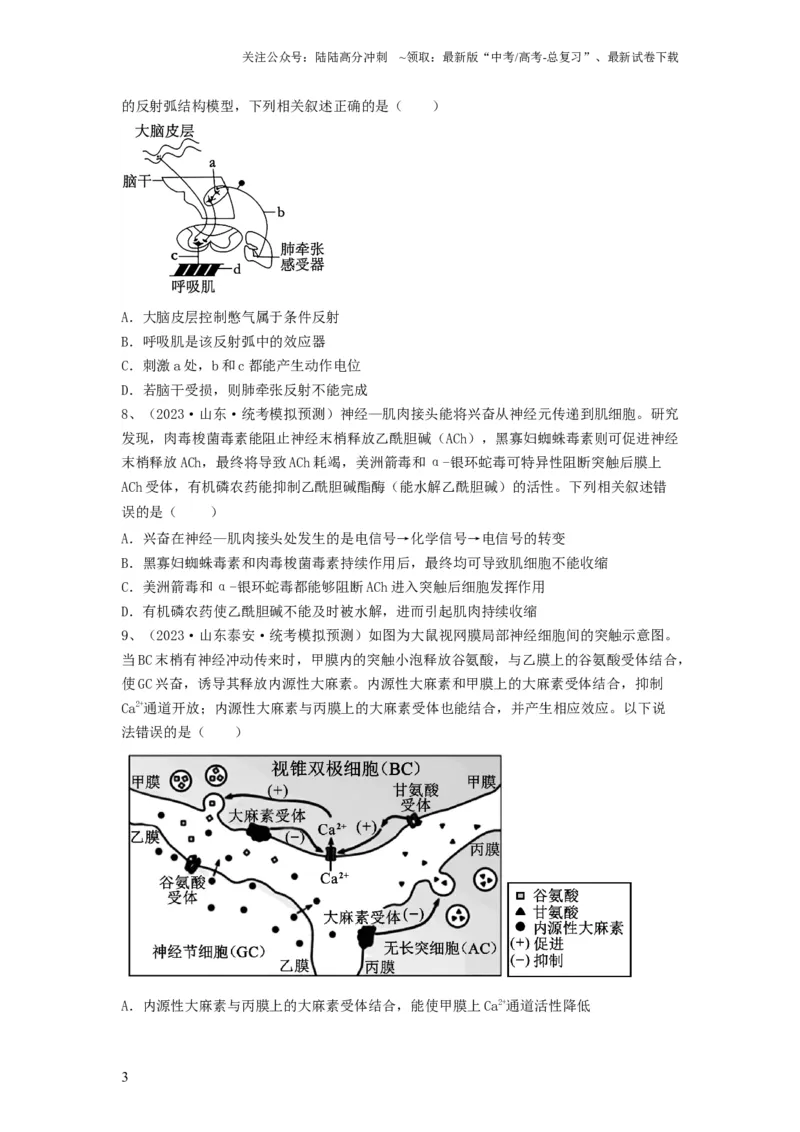 《专题24神经调节（精练）（原卷版）_06-生物-高考总复习_一轮复习_2024年_2024年高考生物一轮复习串讲精练知识点梳理练习题_精练》第3页预览