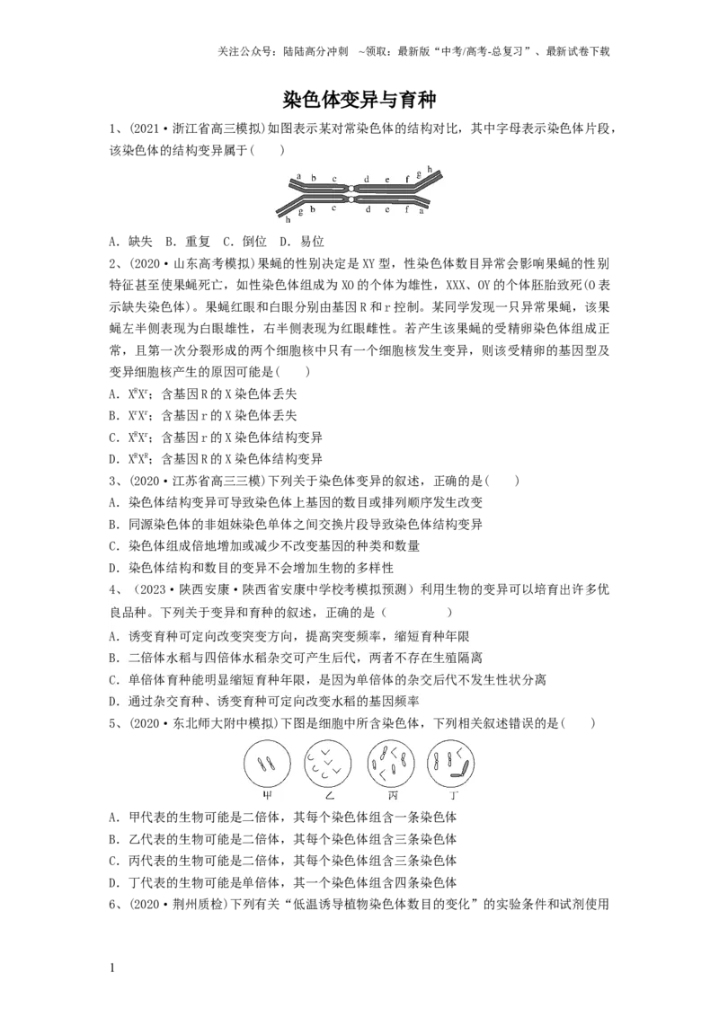 《专题21染色体变异与育种（精练）（原卷版）_06-生物-高考总复习_一轮复习_2024年_2024年高考生物一轮复习串讲精练知识点梳理练习题_精练》第1页预览