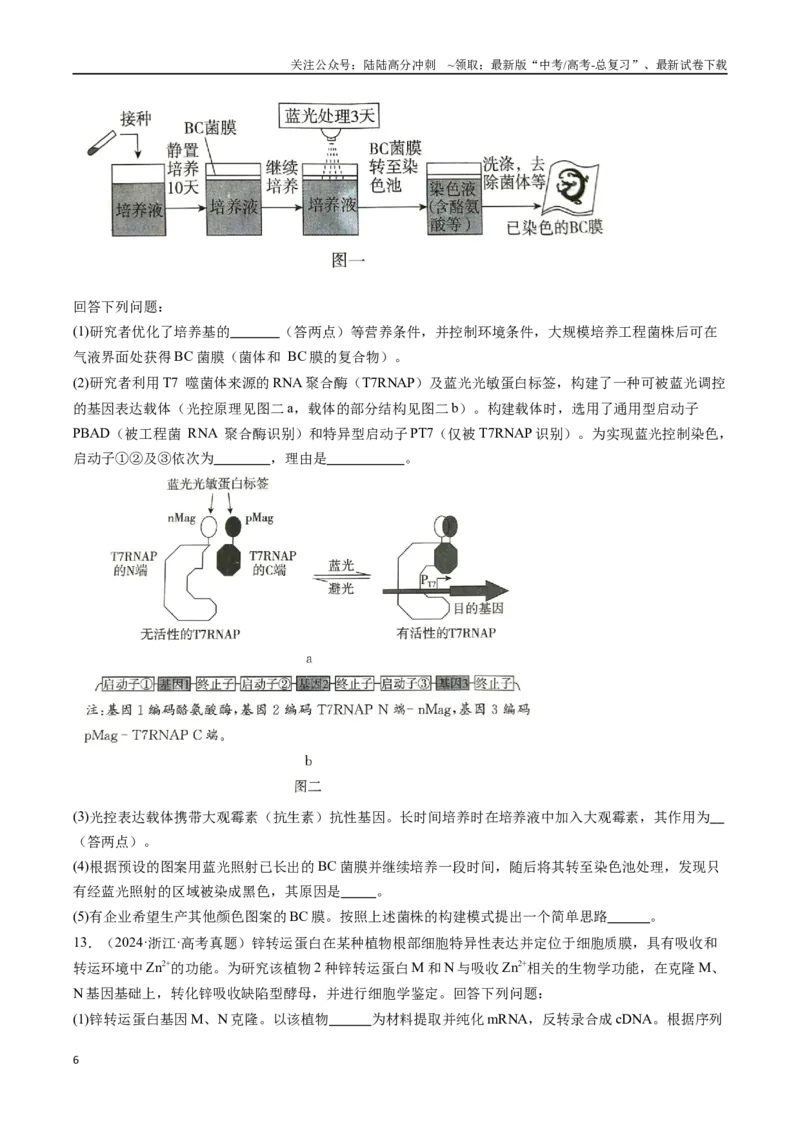 《专题20发酵工程（全国通用）（原卷版）_06-生物-高考总复习_专项复习_2024年_2024年高考生物真题分类汇编（全国通用）》第6页预览