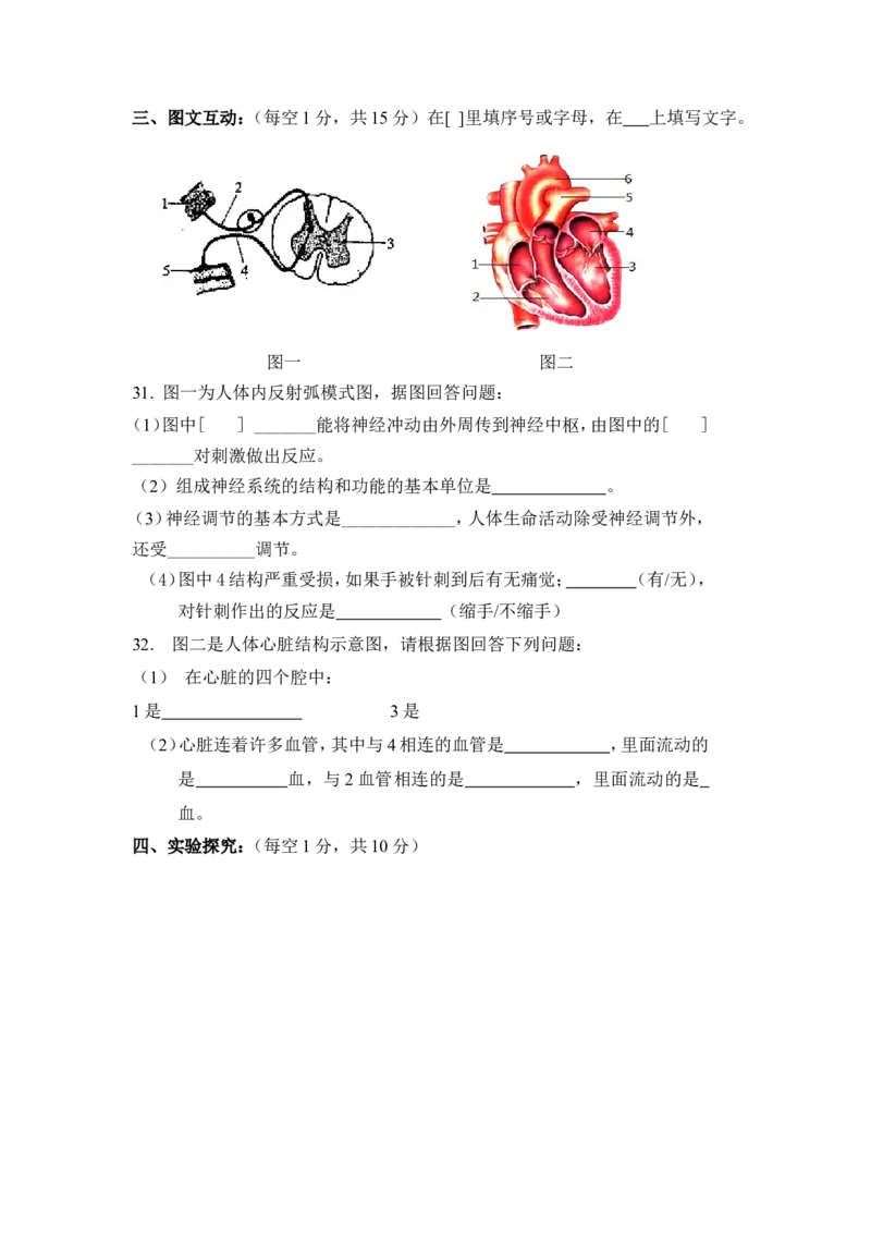 《重庆市江津聚奎中学2016-2017学年七年级6月月考考生物试卷_初中全科目同步习题+精品试卷（7-9年级）(1)_25秋初中生物《同步习题+精品试卷》_初中生物试卷（冀少版）_《真题试卷》》第4页预览