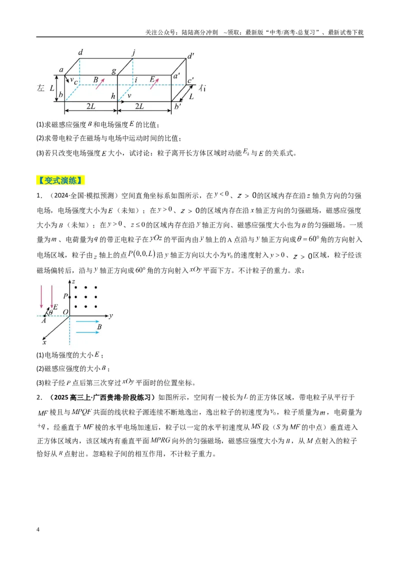 《专题20带电粒子在立体空间中的运动问题破译（原卷版）_04-物理-高考总复习_二轮复习_2025年_2025年高考物理二轮热点题型归纳与变式演练（新高考通用）》第4页预览