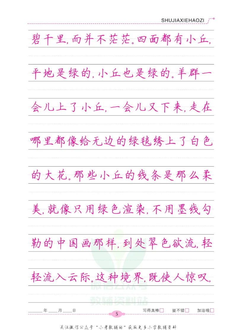 《暑假写好字五年级语文_小初高学习资料合集（每天更新）_暑假写好字》第10页预览