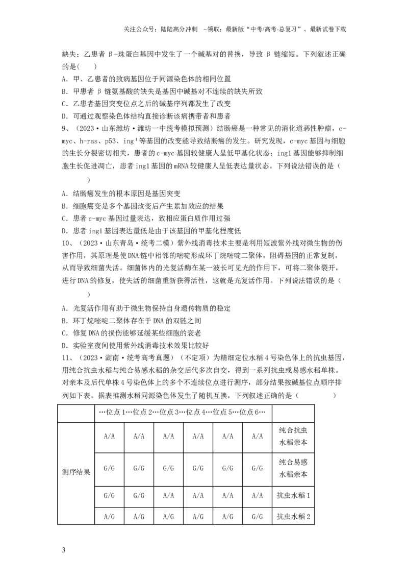 《专题20基因突变和基因重组（精练）（原卷版）_06-生物-高考总复习_一轮复习_2024年_2024年高考生物一轮复习串讲精练知识点梳理练习题_精练》第3页预览