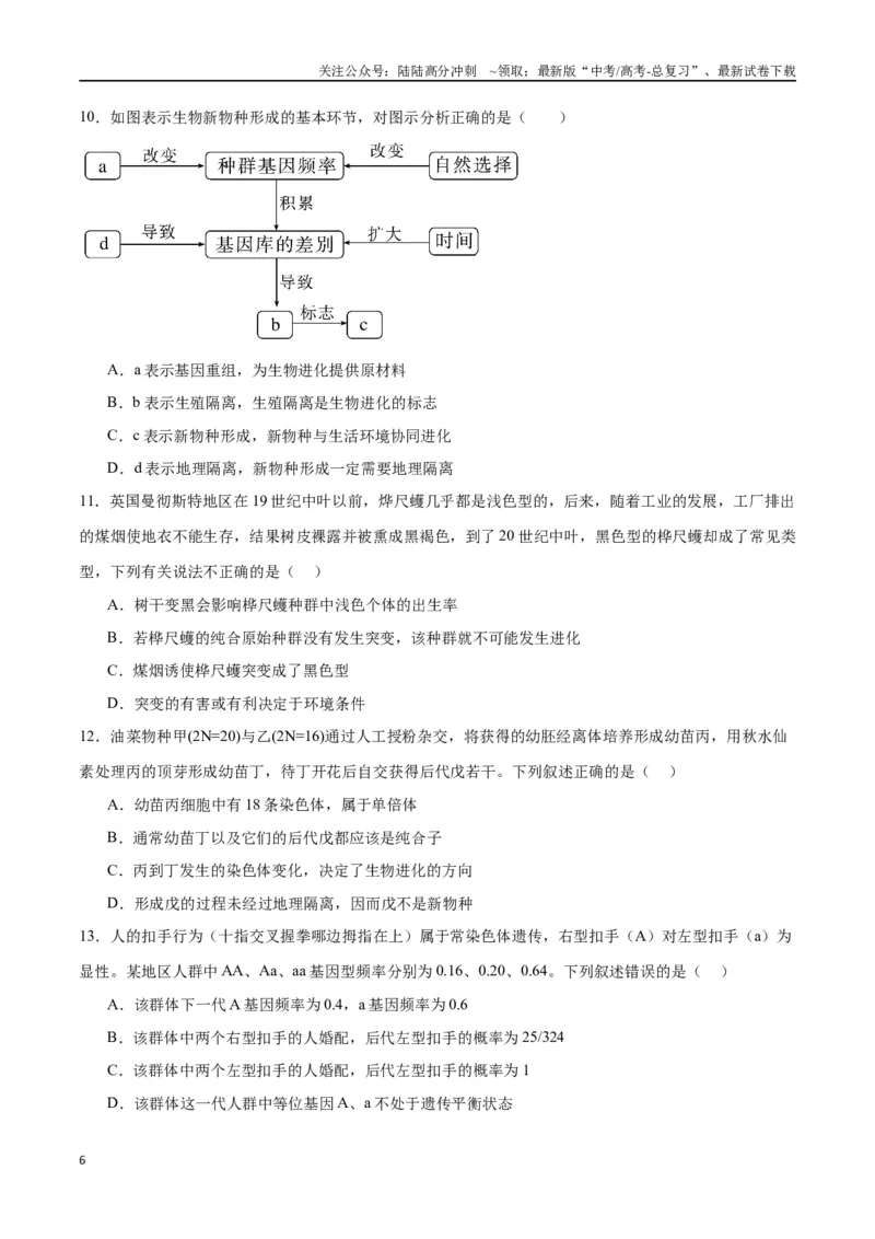 《专题24生物的进化（原卷版)_06-生物-高考总复习_一轮复习_2024年_2024年高考生物一轮复习重难点专项突破_资料》第6页预览