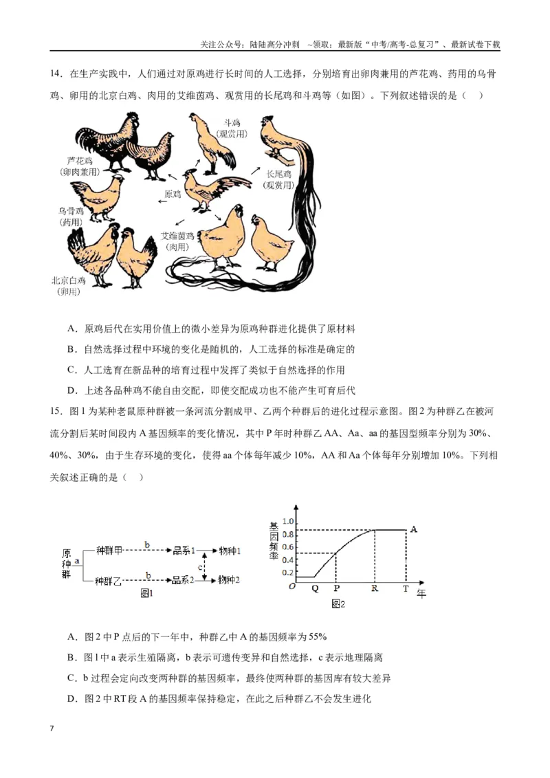 《专题24生物的进化（原卷版)_06-生物-高考总复习_一轮复习_2024年_2024年高考生物一轮复习重难点专项突破_资料》第7页预览