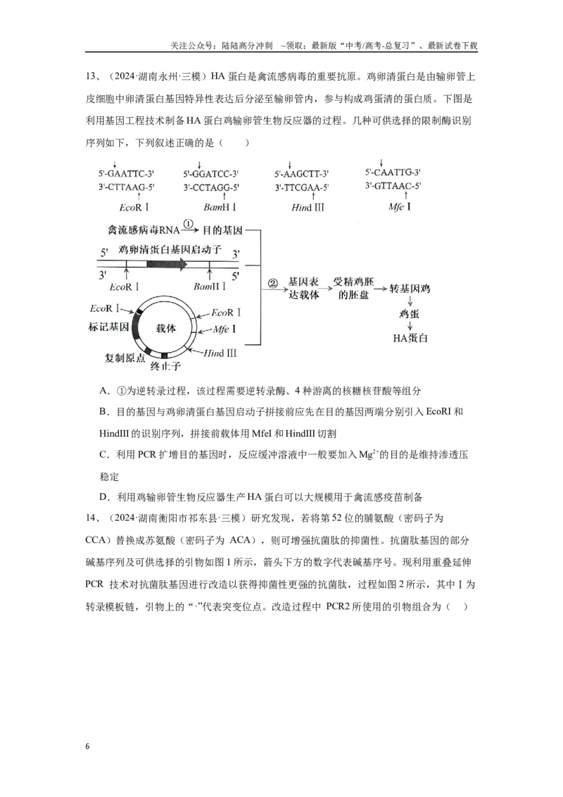 《专题18基因工程（原卷版）_06-生物-高考总复习_专项复习_2025年_2024年高考三模试题分类汇编生物2新高考通用》第6页预览