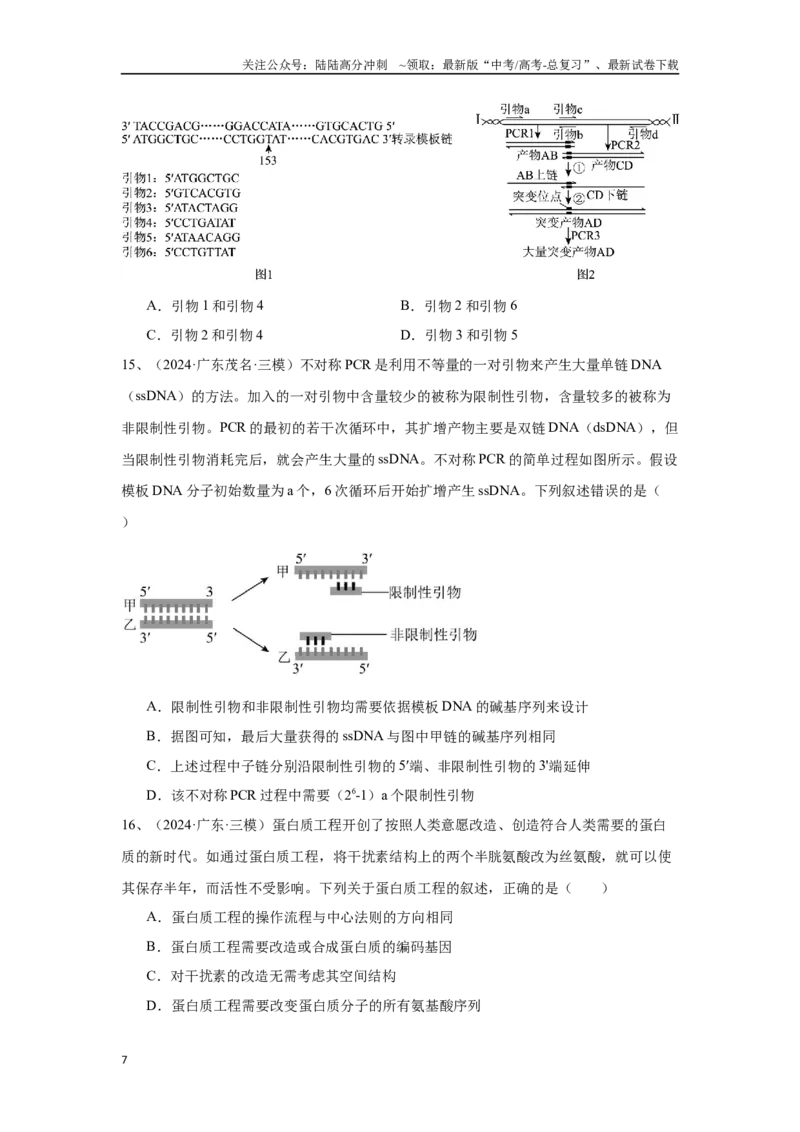 《专题18基因工程（原卷版）_06-生物-高考总复习_专项复习_2025年_2024年高考三模试题分类汇编生物2新高考通用》第7页预览