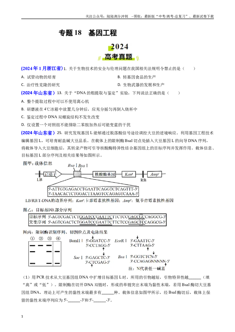 《专题18基因工程(原卷版）_06-生物-高考总复习_专项复习_2024年_2024年高考真题和模拟题分项汇编生物分类汇编（全国通用）》第1页预览