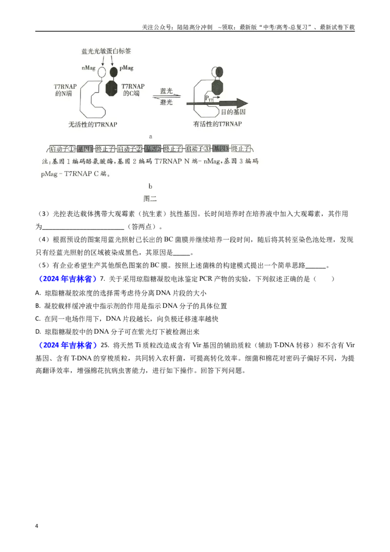《专题18基因工程(原卷版）_06-生物-高考总复习_专项复习_2024年_2024年高考真题和模拟题分项汇编生物分类汇编（全国通用）》第4页预览