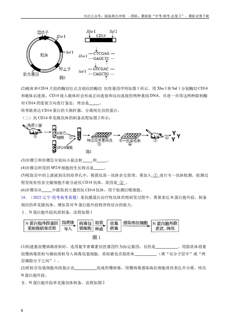 《专题20细胞工程与胚胎工程-五年（2019-2023）高考生物真题分项汇编（全国通用）（学生版）_06-生物-高考总复习_专项复习_2024年_2024年高考生物五年真题分项汇编（全国通用）》第6页预览
