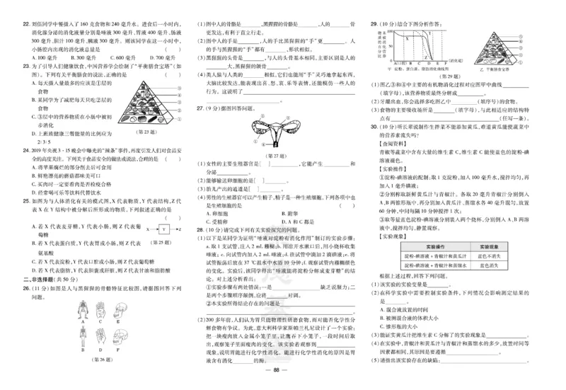 《生物试卷7年级下册_初中全科目同步习题+精品试卷（7-9年级）(1)_25秋初中生物《同步习题+精品试卷》_初中生物试卷（人教版）_《达标测试卷》》第2页预览