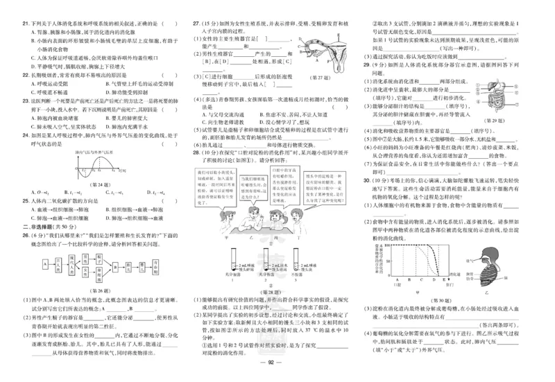 《生物试卷7年级下册_初中全科目同步习题+精品试卷（7-9年级）(1)_25秋初中生物《同步习题+精品试卷》_初中生物试卷（人教版）_《达标测试卷》》第6页预览