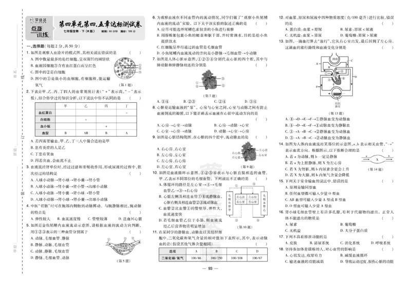 《生物试卷7年级下册_初中全科目同步习题+精品试卷（7-9年级）(1)_25秋初中生物《同步习题+精品试卷》_初中生物试卷（人教版）_《达标测试卷》》第7页预览