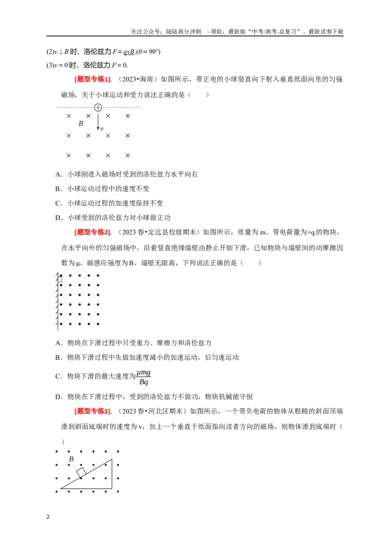 《专题20磁场对运动电荷的作用（原卷版）_04-物理-高考总复习_专项复习_2024年_2024高考物理热点知识清单题型讲练高考复习全国通用_资料》第2页预览