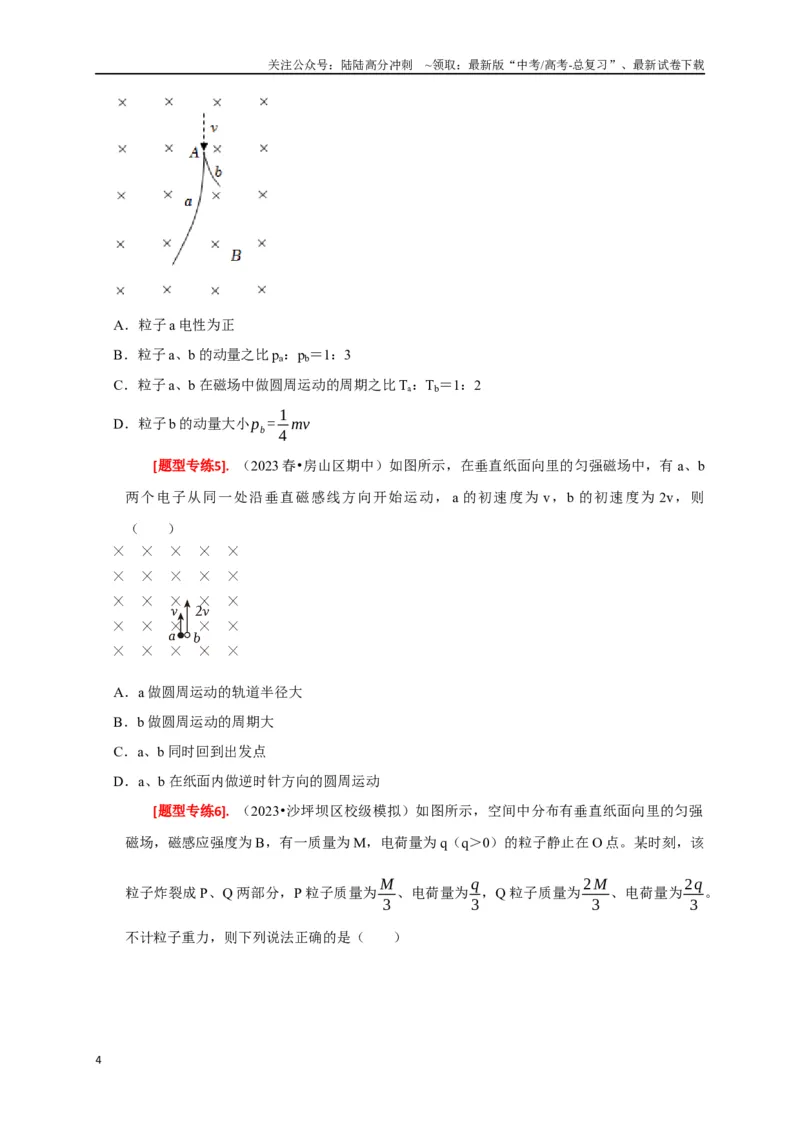 《专题20磁场对运动电荷的作用（原卷版）_04-物理-高考总复习_专项复习_2024年_2024高考物理热点知识清单题型讲练高考复习全国通用_资料》第4页预览