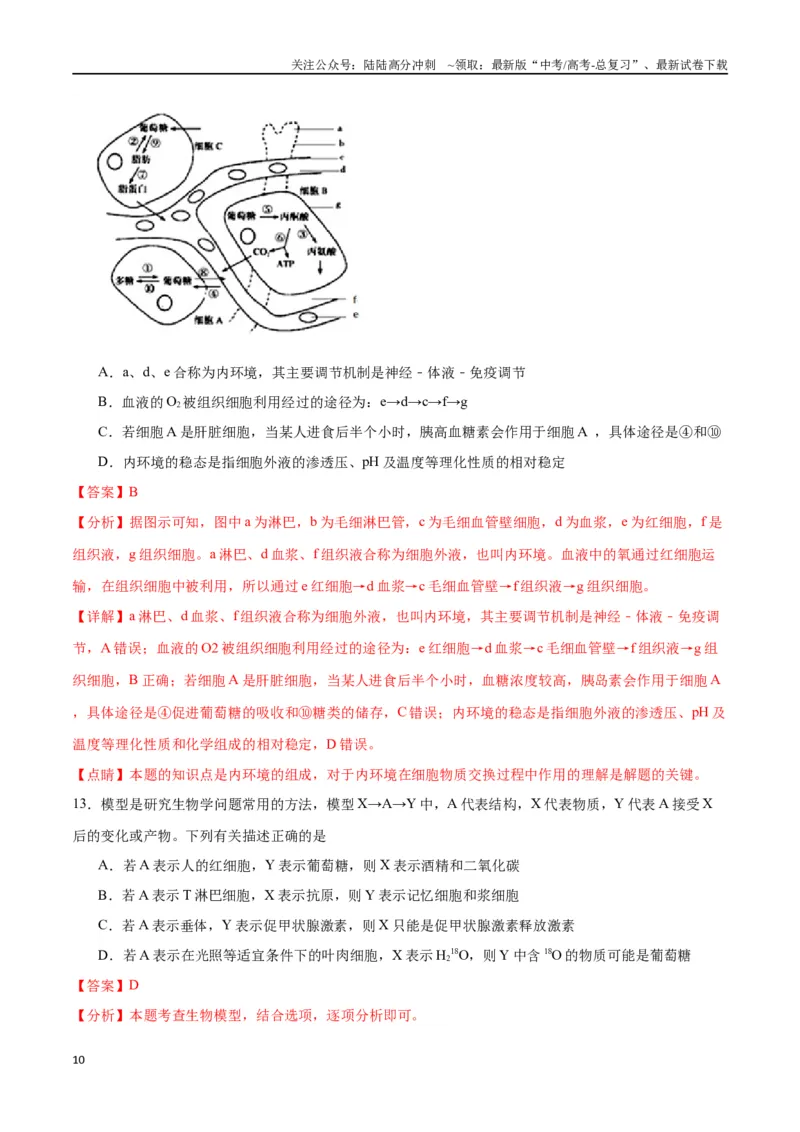 《专题31动物生命活动调节的综合分析（解析版)_06-生物-高考总复习_一轮复习_2024年_2024年高考生物一轮复习重难点专项突破_资料》第10页预览