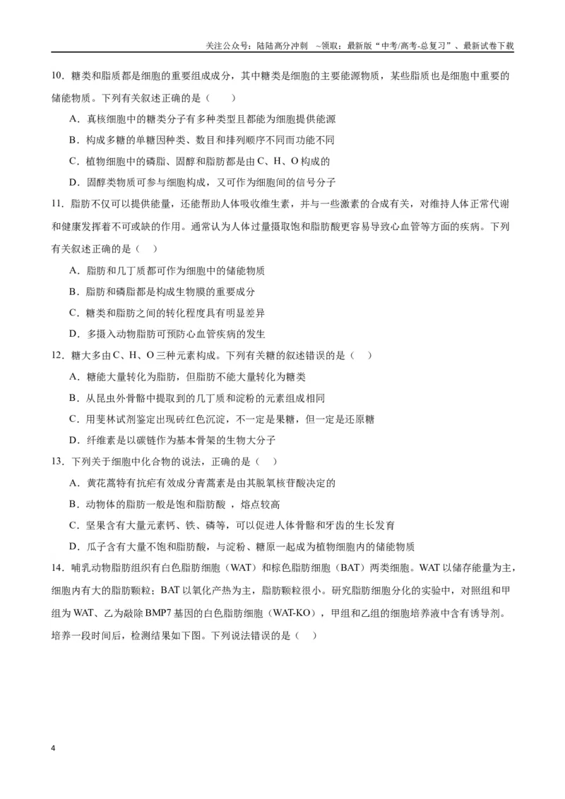 《专题3糖类和脂质（原卷版)_06-生物-高考总复习_一轮复习_2024年_2024年高考生物一轮复习重难点专项突破_资料》第4页预览