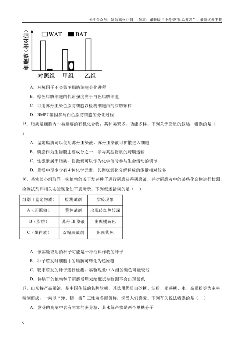 《专题3糖类和脂质（原卷版)_06-生物-高考总复习_一轮复习_2024年_2024年高考生物一轮复习重难点专项突破_资料》第5页预览