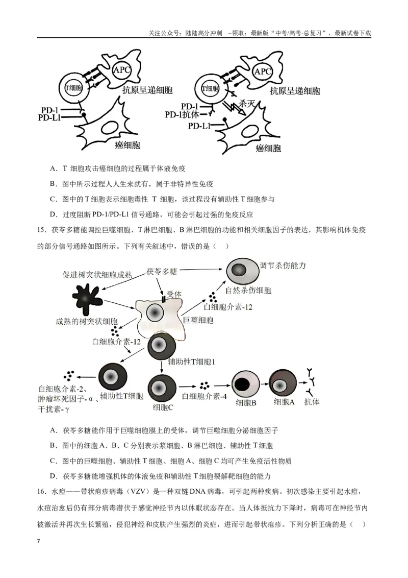 《专题29免疫调节（原卷版)_06-生物-高考总复习_一轮复习_2024年_2024年高考生物一轮复习重难点专项突破_资料》第7页预览