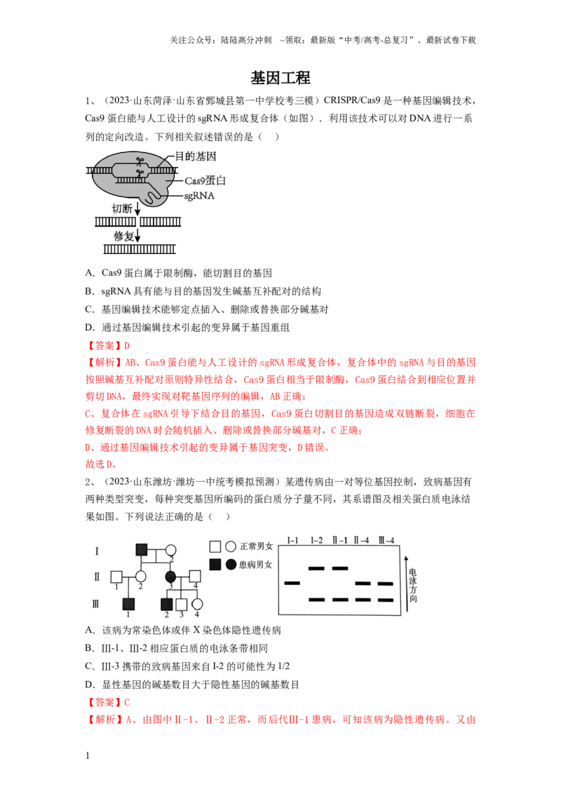 《专题32基因工程（精练）（解析版）_06-生物-高考总复习_一轮复习_2024年_2024年高考生物一轮复习串讲精练知识点梳理练习题_精练》第1页预览