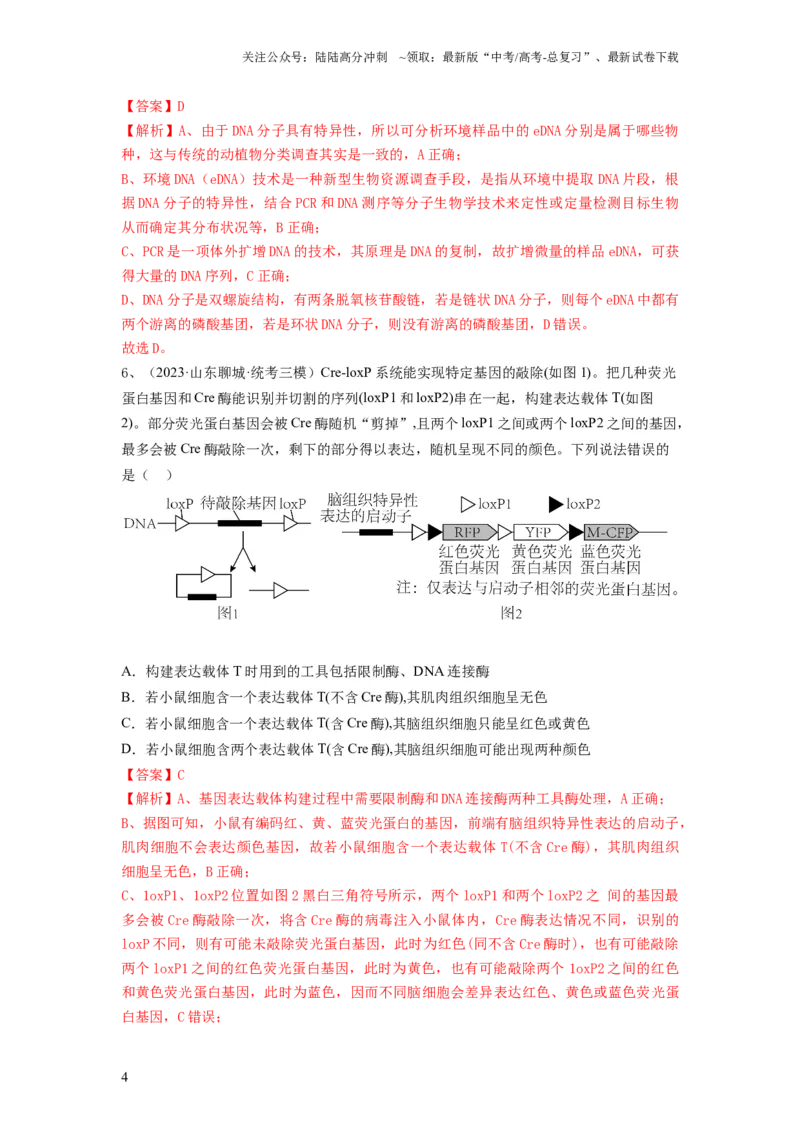 《专题32基因工程（精练）（解析版）_06-生物-高考总复习_一轮复习_2024年_2024年高考生物一轮复习串讲精练知识点梳理练习题_精练》第4页预览