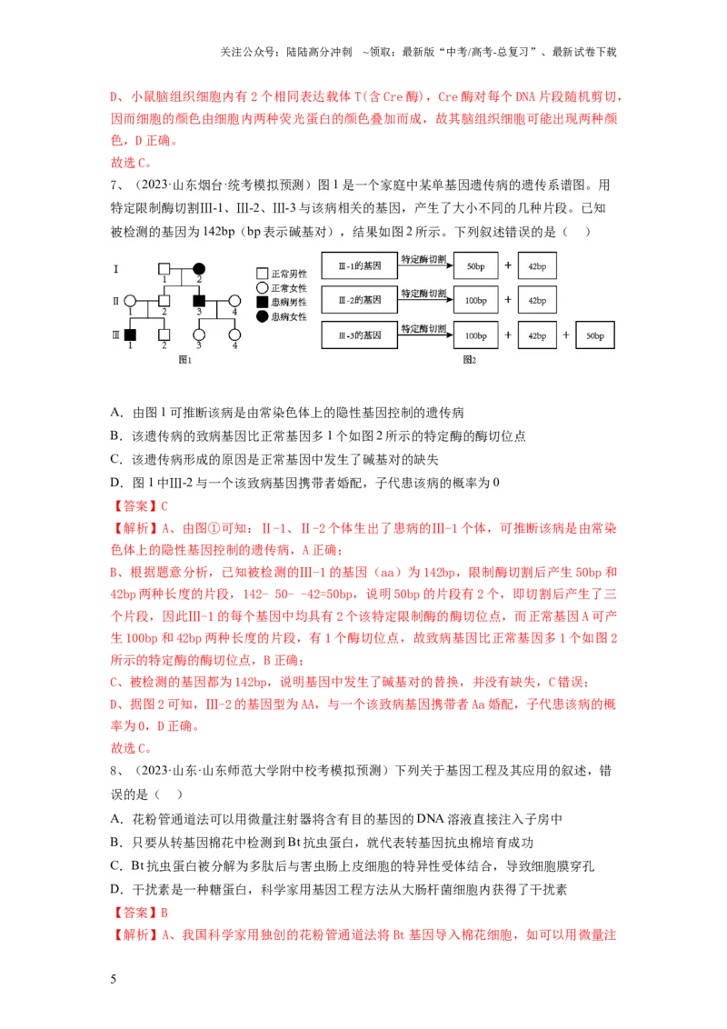 《专题32基因工程（精练）（解析版）_06-生物-高考总复习_一轮复习_2024年_2024年高考生物一轮复习串讲精练知识点梳理练习题_精练》第5页预览