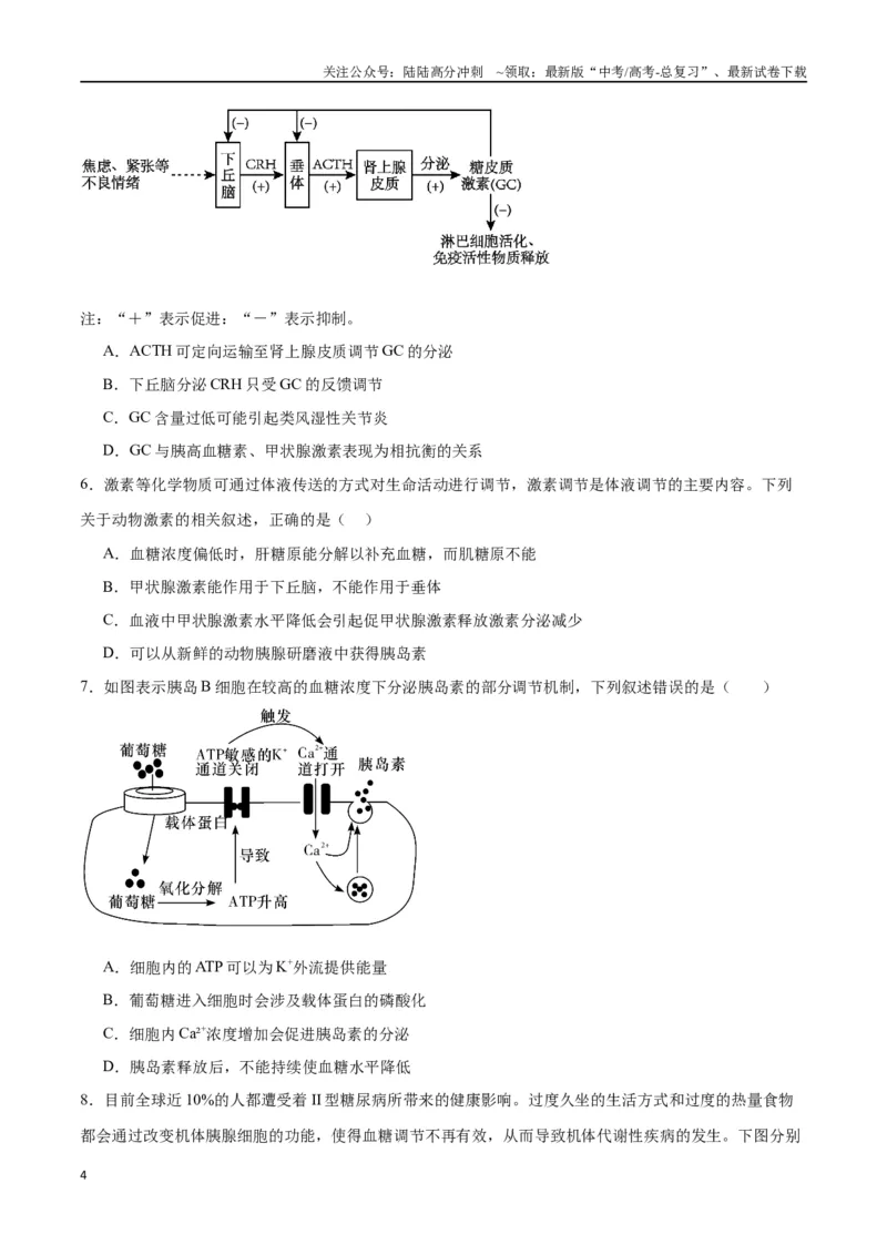《专题28体液调节与神经调节的关系（原卷版)_06-生物-高考总复习_一轮复习_2024年_2024年高考生物一轮复习重难点专项突破_资料》第4页预览