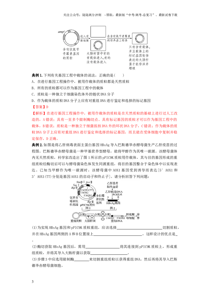 《专题32基因工程（串讲）（解析版）_06-生物-高考总复习_一轮复习_2024年_2024年高考生物一轮复习串讲精练知识点梳理练习题_串讲》第3页预览
