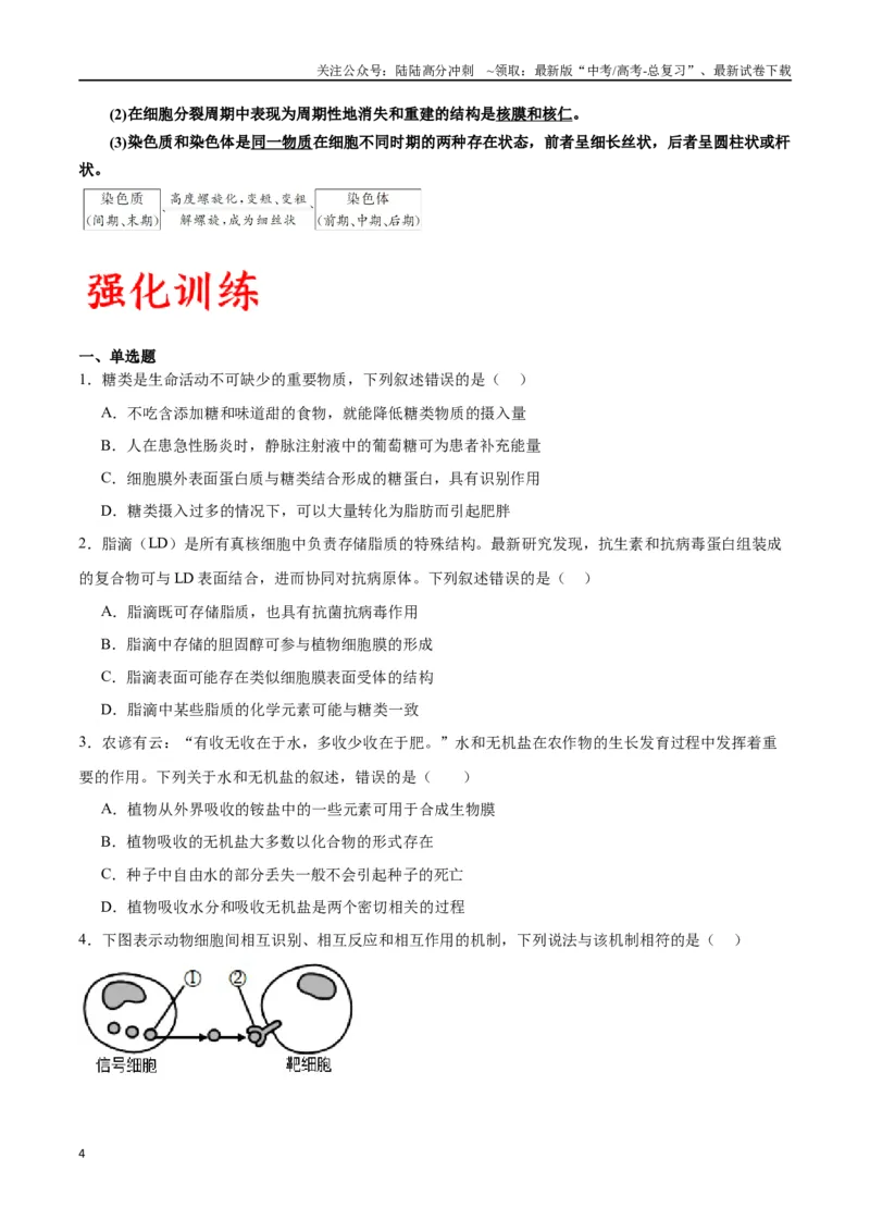 《专题5细胞膜和细胞核（原卷版)_06-生物-高考总复习_一轮复习_2024年_2024年高考生物一轮复习重难点专项突破_资料》第4页预览