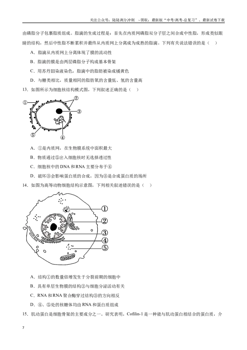 《专题5细胞膜和细胞核（原卷版)_06-生物-高考总复习_一轮复习_2024年_2024年高考生物一轮复习重难点专项突破_资料》第7页预览
